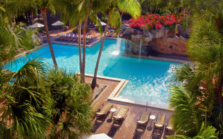 Pool palm trees waterfall slide 2 - a pool free wallpaper