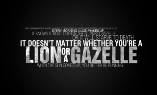 Lion gazelle quote black white - youre free wallpaper