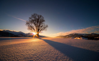 Lone tree snowy field sunset 5 - the cloud and the sun free wallpaper