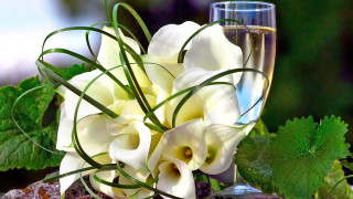 Wine flower vase bottle lyco - a vase of flowers free wallpaper