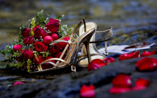 Romantic roses shoes bouquet bokeh - a pair of shoes free wallpaper for desktop