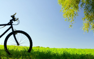 Bicycle parked grass tree clouds - a bicycle free wallpaper