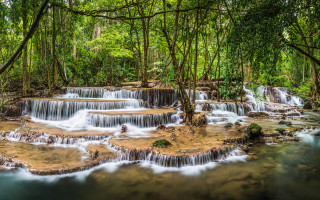 Waterfall forest people nature bridge - the edge free wallpaper