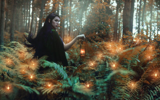 Woman forest lantern christmas fireflies - a lantern free wallpaper for desktop
