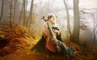 Woman dress cello forest falling - the tree and grass free wallpaper