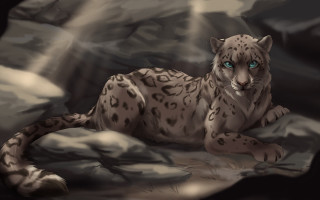 Snow leopard blue eyes rock - a snow leopard free wallpaper
