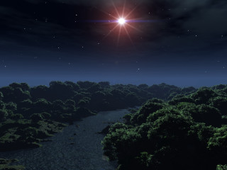 Bright star dark forest night - a bright star free wallpaper