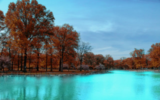 Autumn lake forest ducks blue - blue water free wallpaper