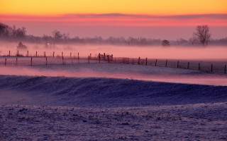 Horse fence fog sunset pink - mist free wallpaper for desktop