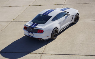 White mustang blue stripes shadow - a white mustang free wallpaper