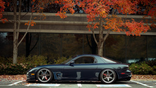 Black sports car autumn leaves 2 - a black sports car free wallpaper