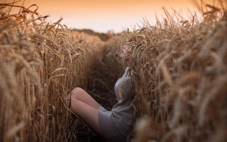 Woman wheat field sky ears - elke vogelsang free wallpaper