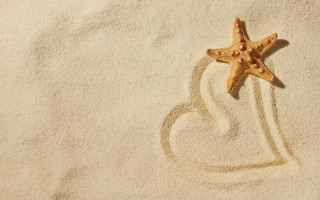 Starfish sand heart beach magic - a starfish free wallpaper for desktop