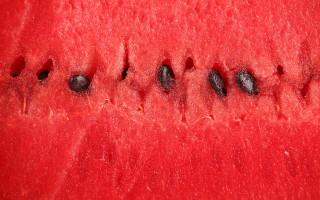 Watermelon closeup seeds macro texture - fine texture free wallpaper