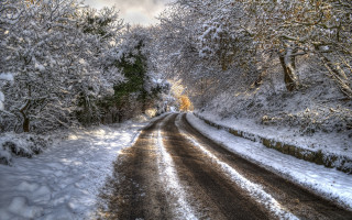 Snowy road trees bushes cloudy - a snowy road free wallpaper