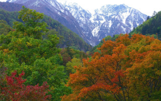 Mountain range trees snow bench - murata range free wallpaper for desktop