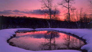 Pond snow trees sunset pink - a pond free wallpaper