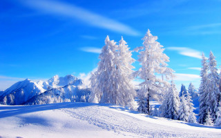 Snowy landscape trees mountains blue 6 - tree and mountains free wallpaper