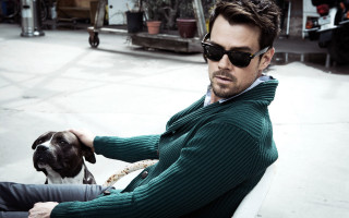 Man dog sunglasses green sweater 2 - his lap free wallpaper for desktop