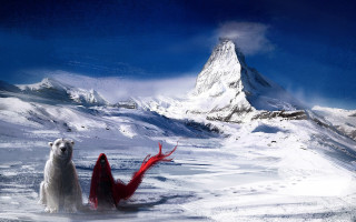 Polar bear red woman snow - a polar bear free wallpaper