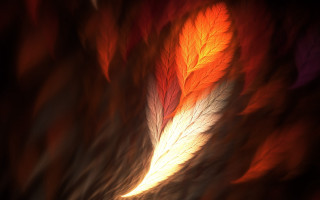 Blurry leaf red yellow background - the bottom of the image free wallpaper for desktop