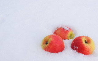 Three apples snow winter still - half free wallpaper for desktop