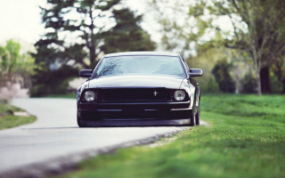Black mustang road trees person - a black mustang mustang free wallpaper