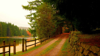 Dirt lake trees fence path - a wooden post free wallpaper
