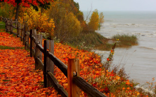 Fence autumn leaves lake boats - a wooden fence free wallpaper