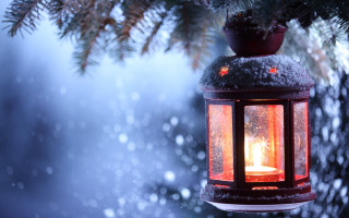 Lantern snowy tree candle magical - a lantern free wallpaper for desktop