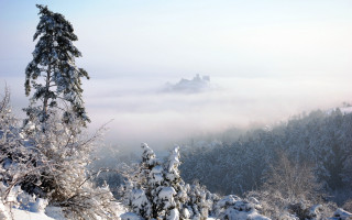 Snowy mountain castle forest foggy - a foggy sky free wallpaper
