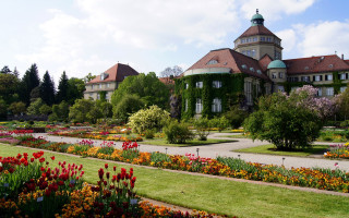 Heidelberg tower garden autumn vivid - vivid free wallpaper