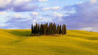 Field trees blue sky clouds 14 - free landscape wallpaper