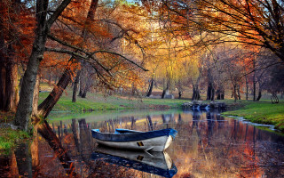 Boat water woodland autumn impressionist - tree and grass free wallpaper