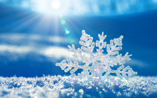 Snowflake sunshine blue sky winter - the sun shining behind free wallpaper