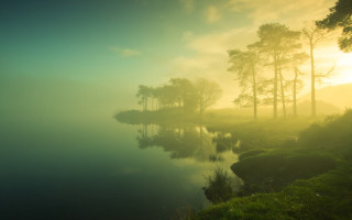 Foggy river trees mist nature - the bank free wallpaper