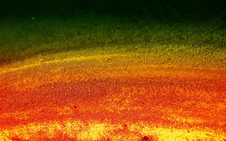 Red yellow substance black white - high saturation free wallpaper