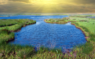 River grassy bank sunny landscape - grassy free wallpaper for desktop