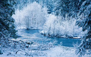 River snowy forest blue sky - tree and bushes free wallpaper