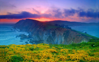 Sunset cliff yellowflowers water mountain - yellow flower free wallpaper