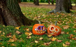 Pumpkins designs park nature outdoors - chalk art free wallpaper