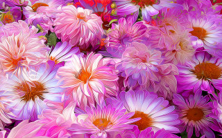 Pink flower blooming digital painting - a red center in the middle free wallpaper