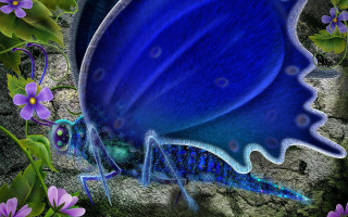 Blue butterfly purple flowers garden - a blue butterfly free wallpaper