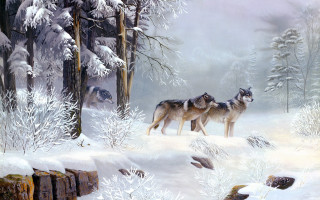 Snowy forest wolves bird anne - a snowy forest free wallpaper