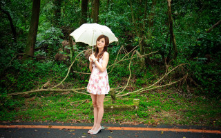 Woman pink dress umbrella woods - chen lin free wallpaper