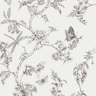Butterfly flowers black white background - a flemish baroque free wallpaper for tablet