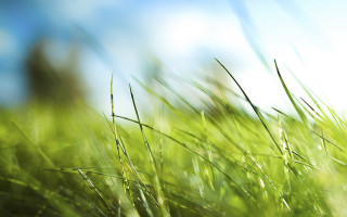 Grass sky blurry building nature - environmental art free wallpaper
