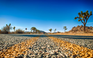Road yellow line trees blue - american scene painting free wallpaper