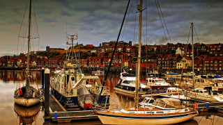 Harbor boats city red buildings - rich moody colour free wallpaper