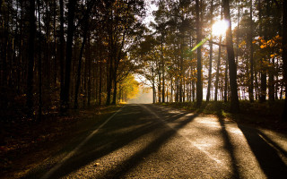 Forest road sunshine cityscape fireworks - a road in the middle of a forest free wallpaper